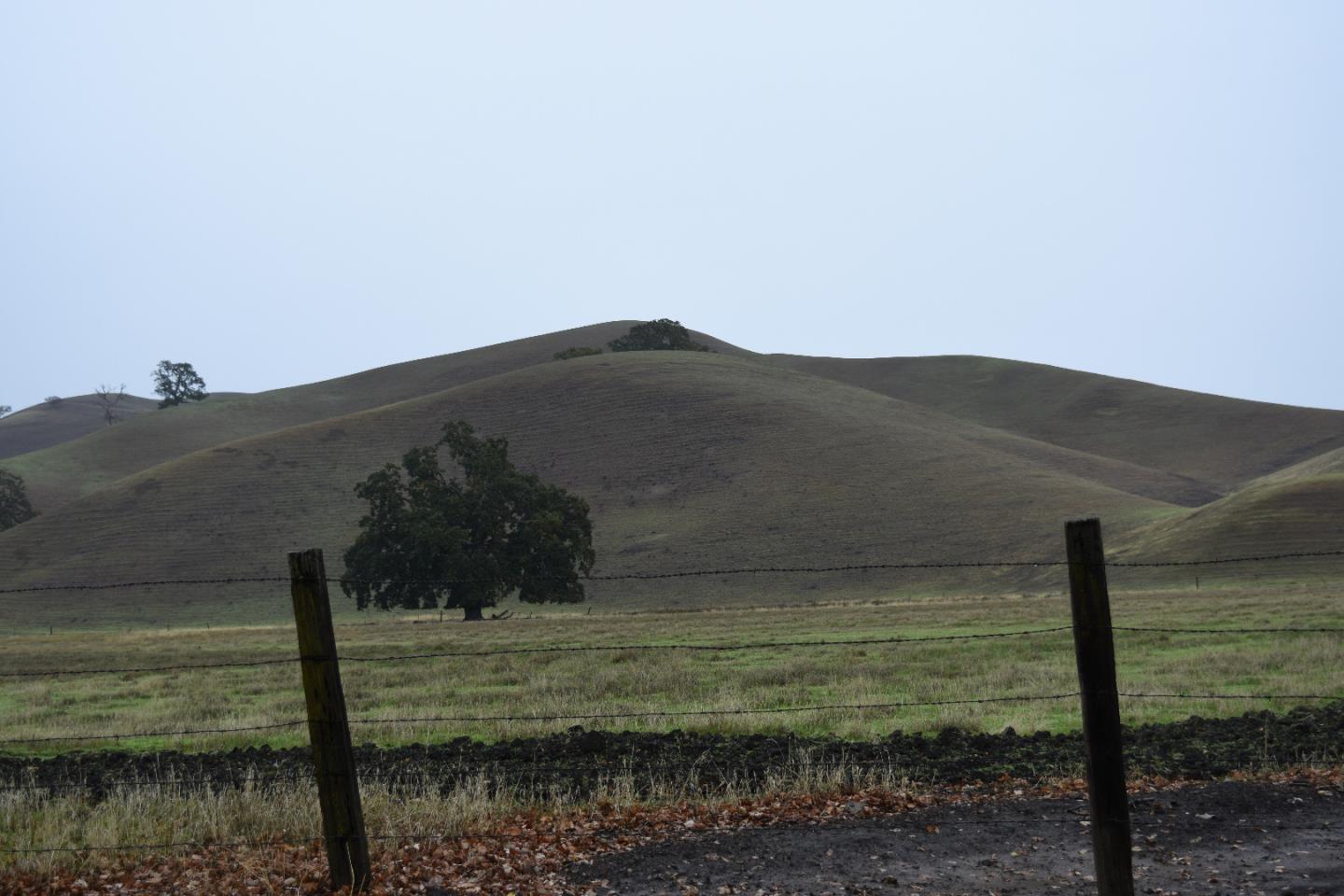 1700 Finley Road, SAN RAMON, California 94583, ,Lots And Land,For Sale,Finley Road,40973687
