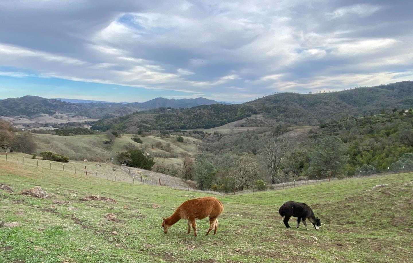5070 Fallen Oak Drive, MORGAN HILL, California 95037, ,Lots And Land,For Sale,Fallen Oak Drive,40974841