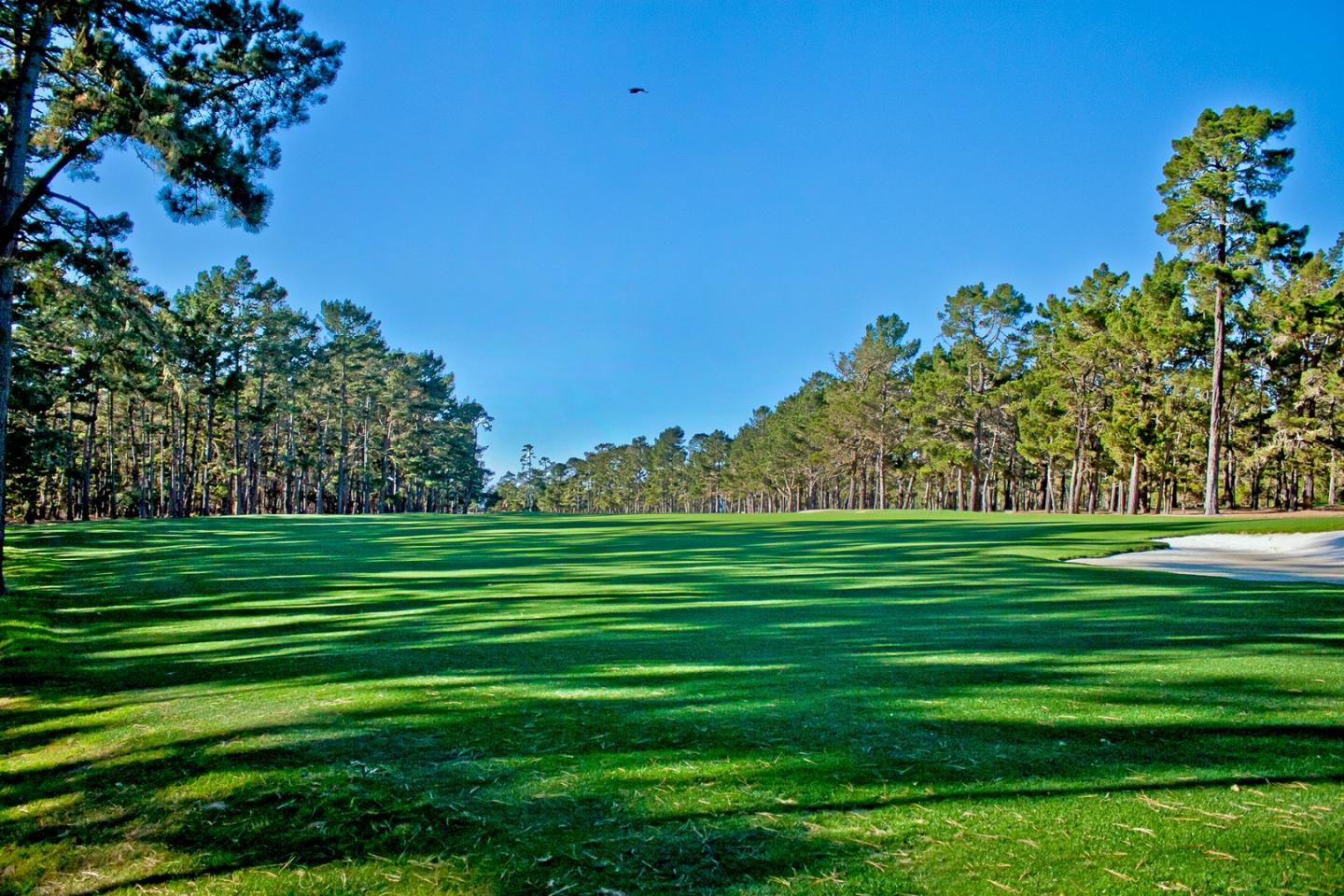 1455 Lisbon Court, PEBBLE BEACH, California 93953, ,Lots And Land,For Sale,Lisbon Court,40973693