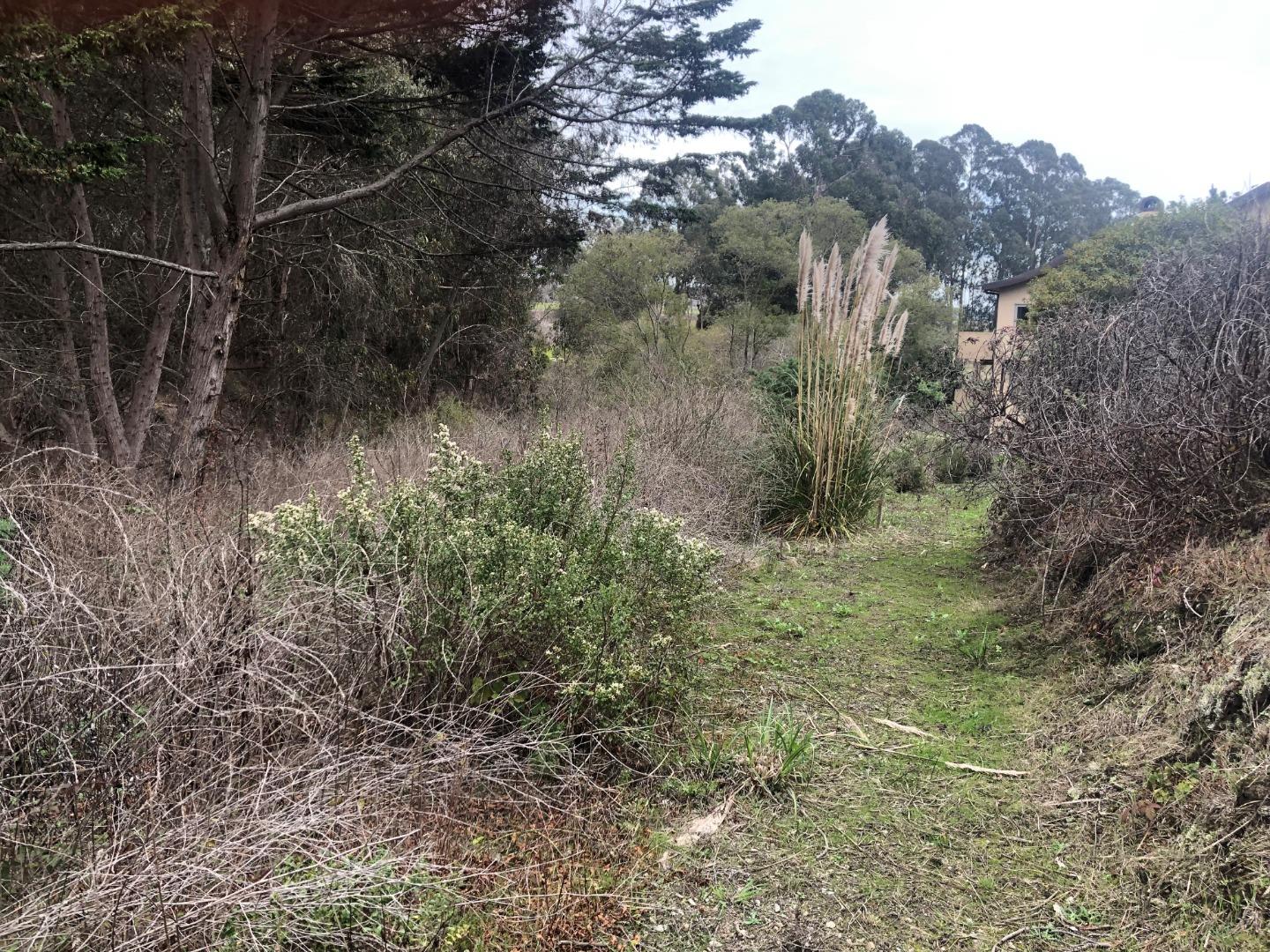 0 San Andreas Road, LA SELVA BEACH, California 95076, ,Lots And Land,For Sale,San Andreas Road,40973812