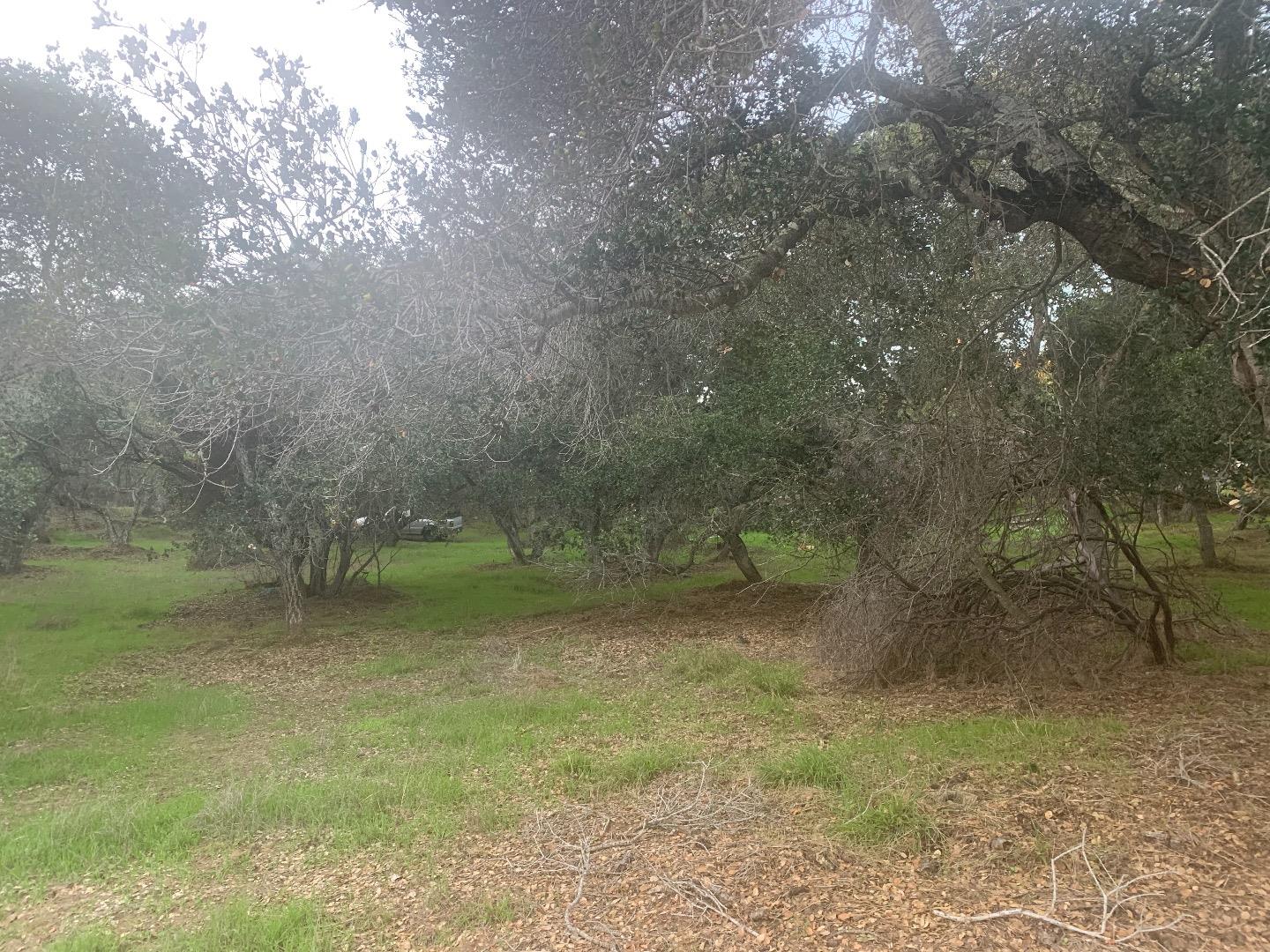 0 Matterhorn Road, SALINAS, California 93907, ,Lots And Land,For Sale,Matterhorn Road,40974105