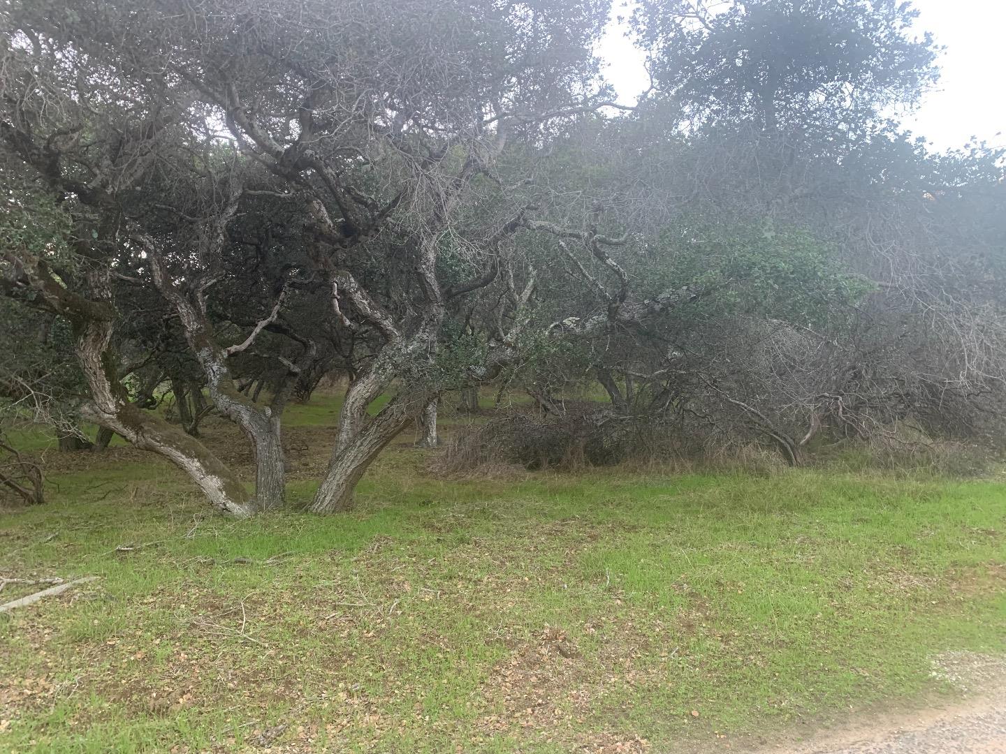0 Matterhorn Road, SALINAS, California 93907, ,Lots And Land,For Sale,Matterhorn Road,40974105