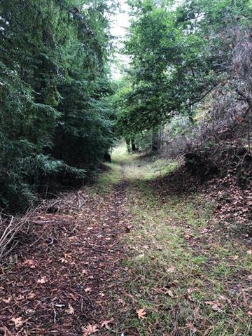 23589 Sky View Terrace, LOS GATOS, California 95033, ,Lots And Land,For Sale,Sky View Terrace,40974106