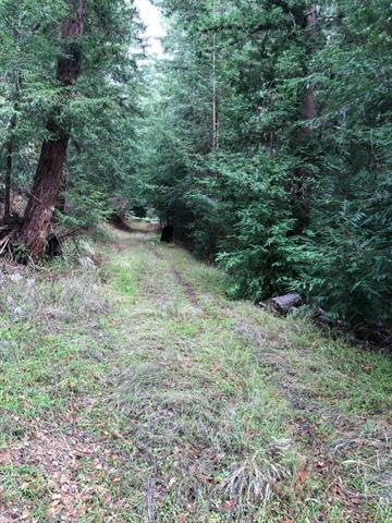 23589 Sky View Terrace, LOS GATOS, California 95033, ,Lots And Land,For Sale,Sky View Terrace,40974106