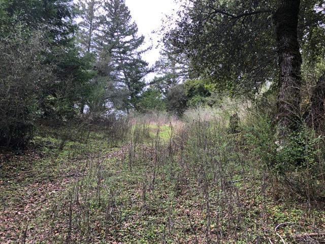 23589 Sky View Terrace, LOS GATOS, California 95033, ,Lots And Land,For Sale,Sky View Terrace,40974106