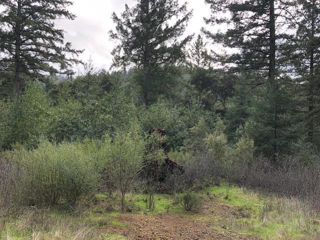 23589 Sky View Terrace, LOS GATOS, California 95033, ,Lots And Land,For Sale,Sky View Terrace,40974106