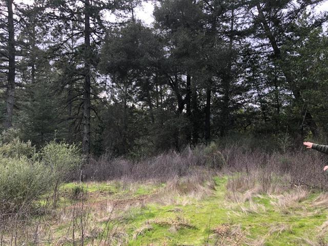 23589 Sky View Terrace, LOS GATOS, California 95033, ,Lots And Land,For Sale,Sky View Terrace,40974106