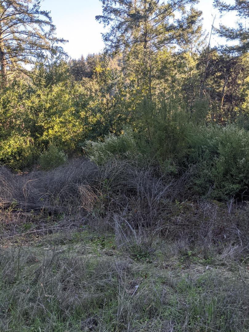 23589 Sky View Terrace, LOS GATOS, California 95033, ,Lots And Land,For Sale,Sky View Terrace,40974106