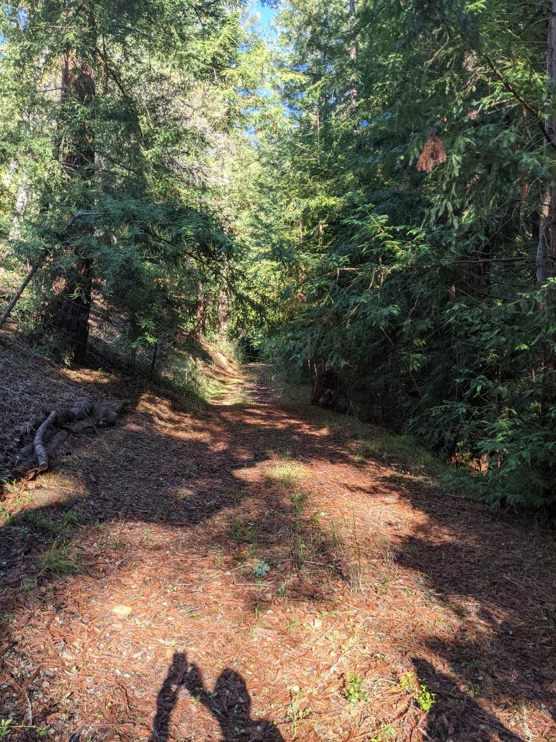 23589 Sky View Terrace, LOS GATOS, California 95033, ,Lots And Land,For Sale,Sky View Terrace,40974106