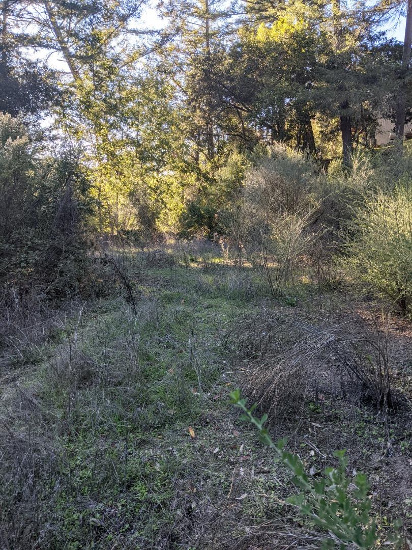 23589 Sky View Terrace, LOS GATOS, California 95033, ,Lots And Land,For Sale,Sky View Terrace,40974106