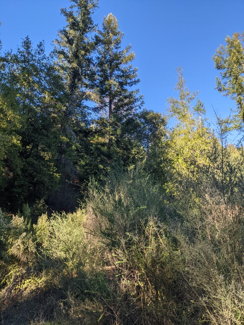 23589 Sky View Terrace, LOS GATOS, California 95033, ,Lots And Land,For Sale,Sky View Terrace,40974106