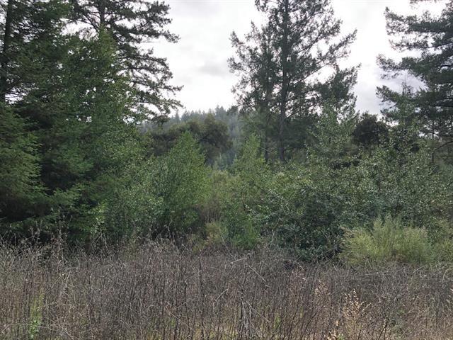 23589 Sky View Terrace, LOS GATOS, California 95033, ,Lots And Land,For Sale,Sky View Terrace,40974106