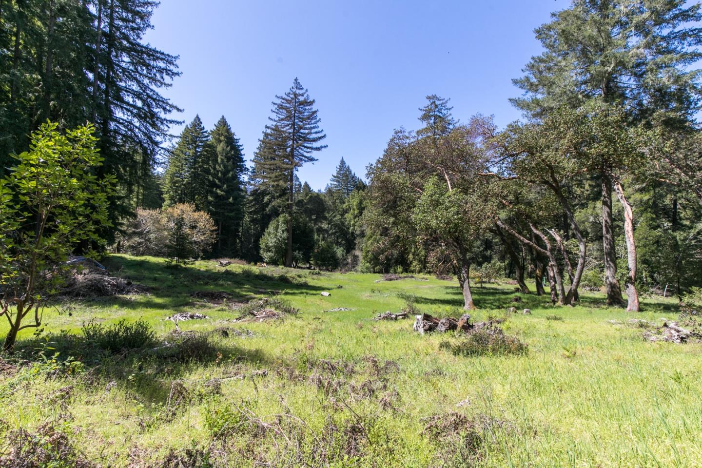 00 Brier, BOULDER CREEK, California 95006, ,Lots And Land,For Sale,Brier,40974108