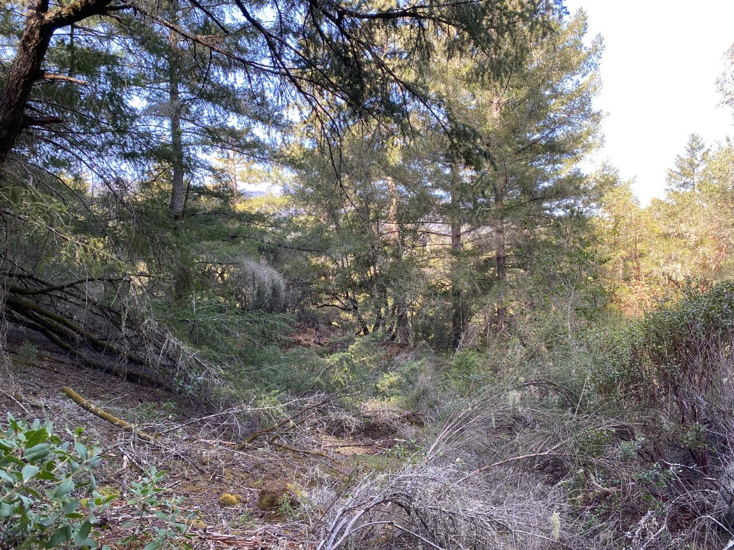 00 Brier, BOULDER CREEK, California 95006, ,Lots And Land,For Sale,Brier,40974108