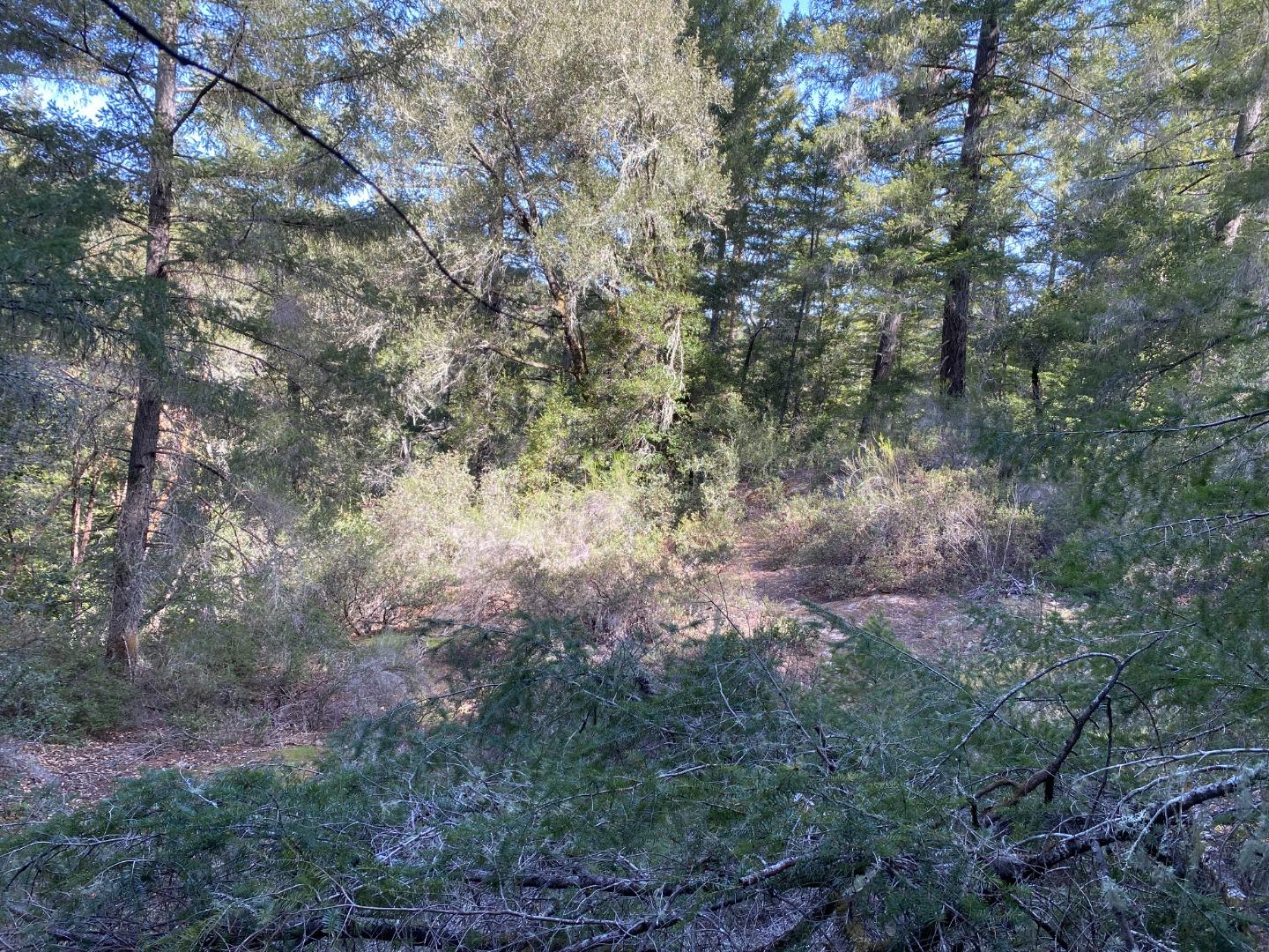 00 Brier, BOULDER CREEK, California 95006, ,Lots And Land,For Sale,Brier,40974108