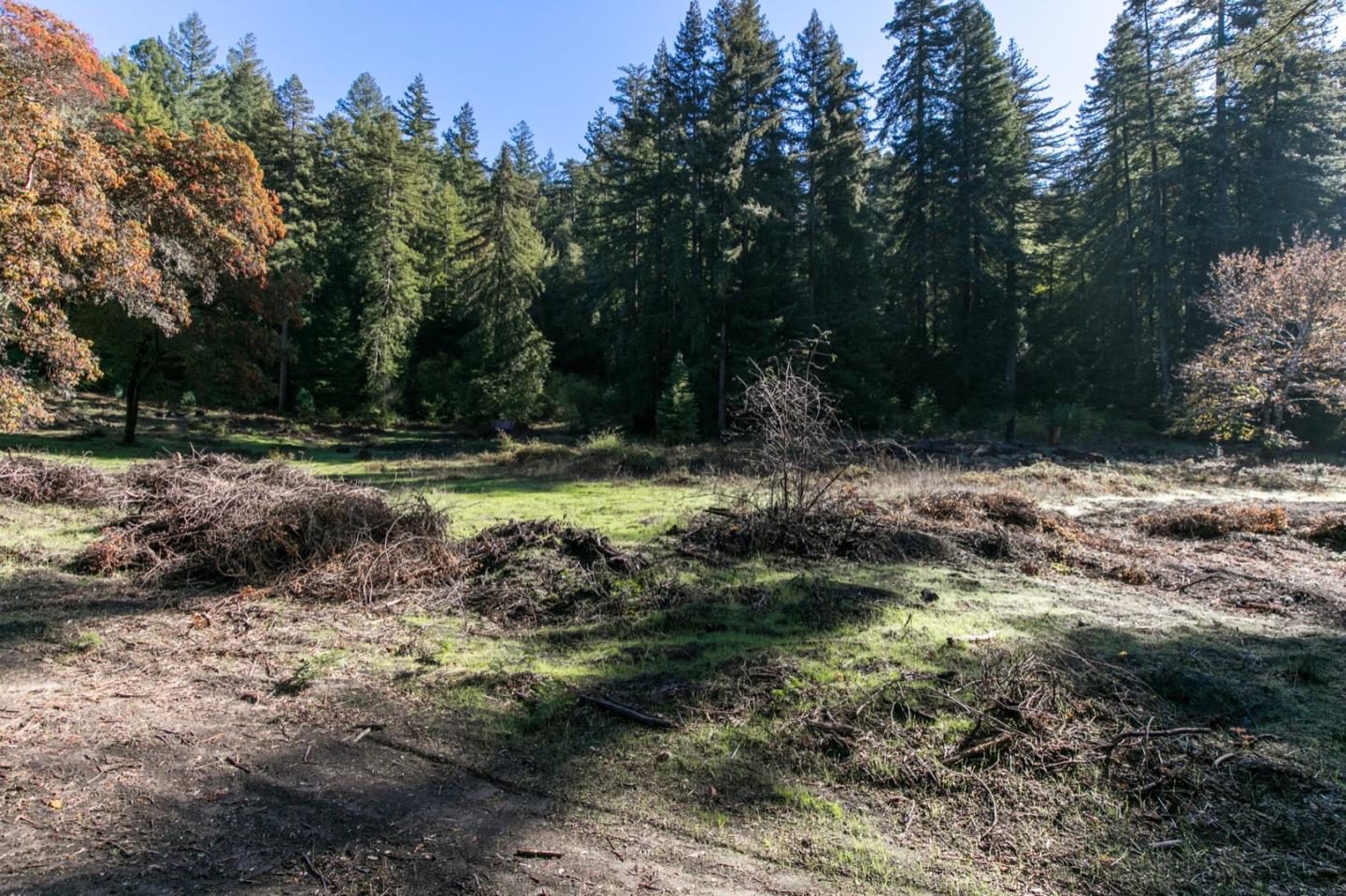 00 Brier, BOULDER CREEK, California 95006, ,Lots And Land,For Sale,Brier,40974108