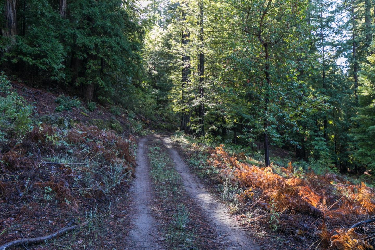 00 Brier, BOULDER CREEK, California 95006, ,Lots And Land,For Sale,Brier,40974108
