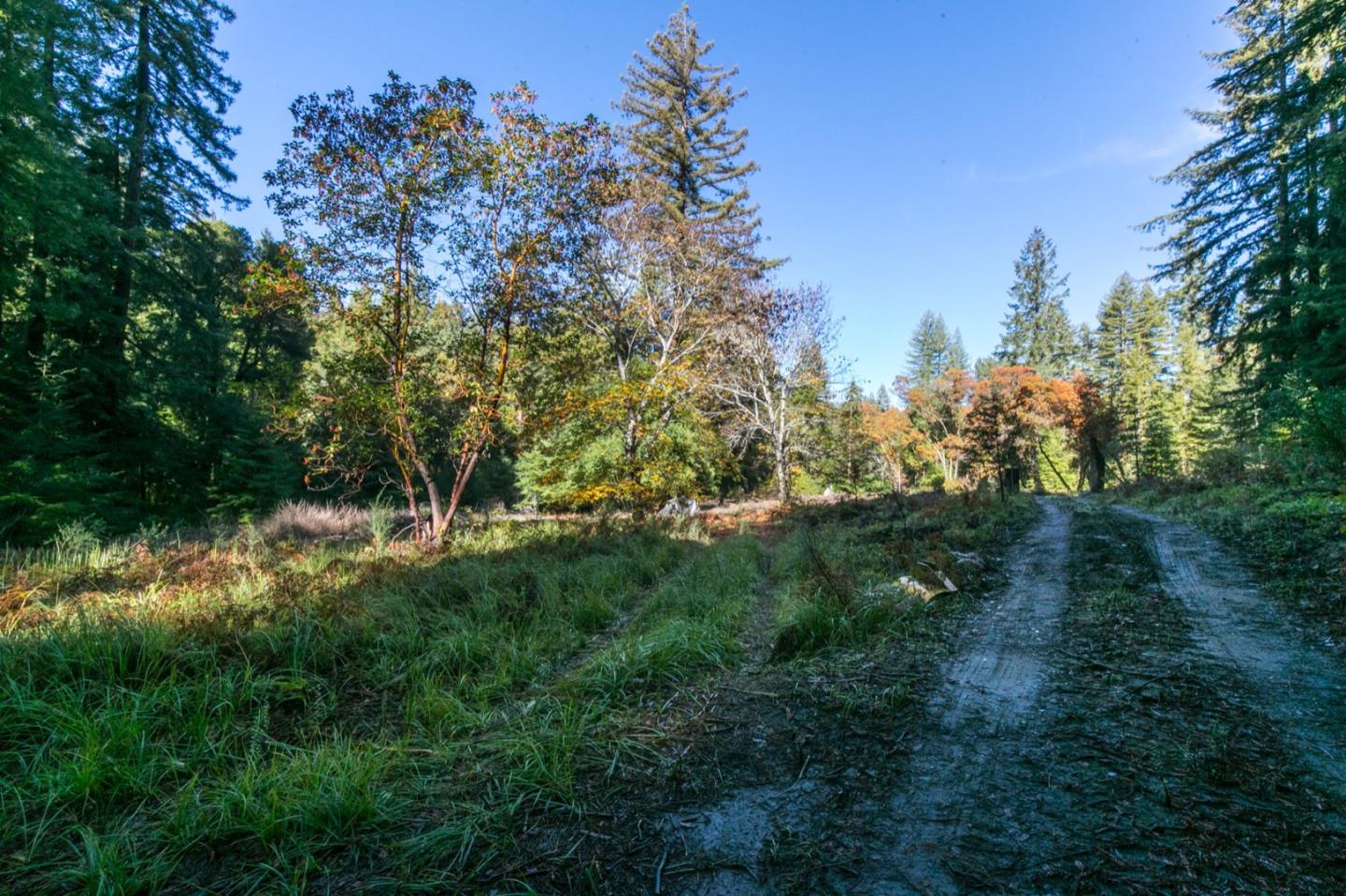 00 Brier, BOULDER CREEK, California 95006, ,Lots And Land,For Sale,Brier,40974108