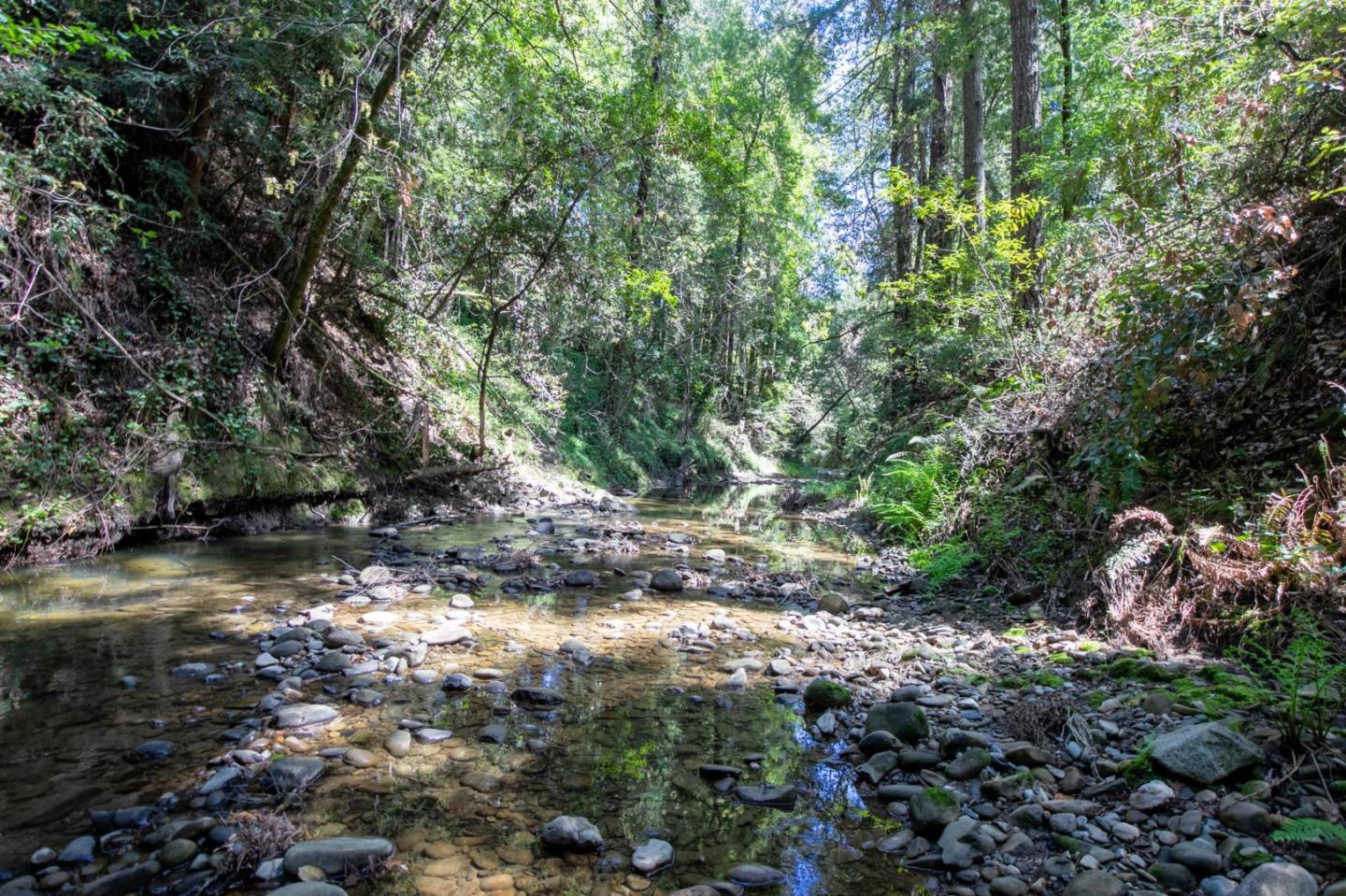 00 Brier, BOULDER CREEK, California 95006, ,Lots And Land,For Sale,Brier,40974108