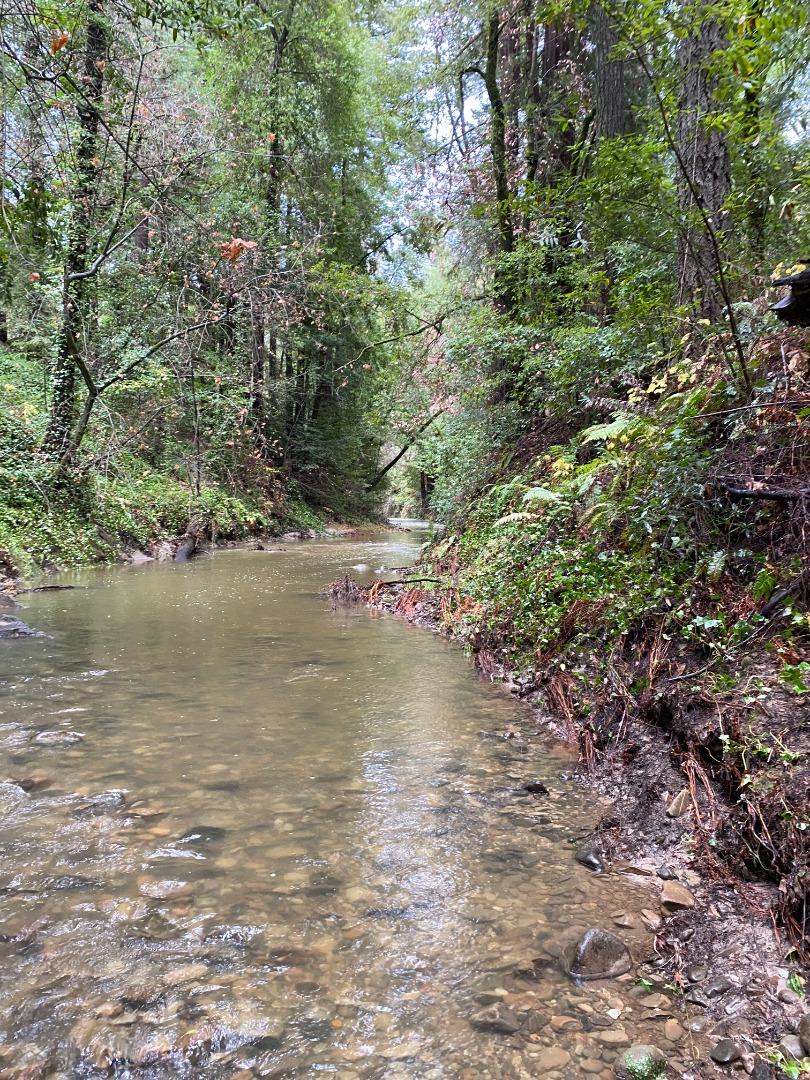 00 Brier, BOULDER CREEK, California 95006, ,Lots And Land,For Sale,Brier,40974108