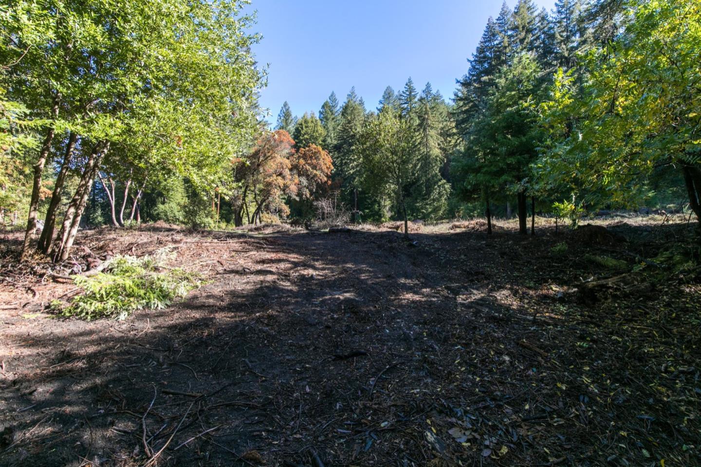 00 Brier, BOULDER CREEK, California 95006, ,Lots And Land,For Sale,Brier,40974108