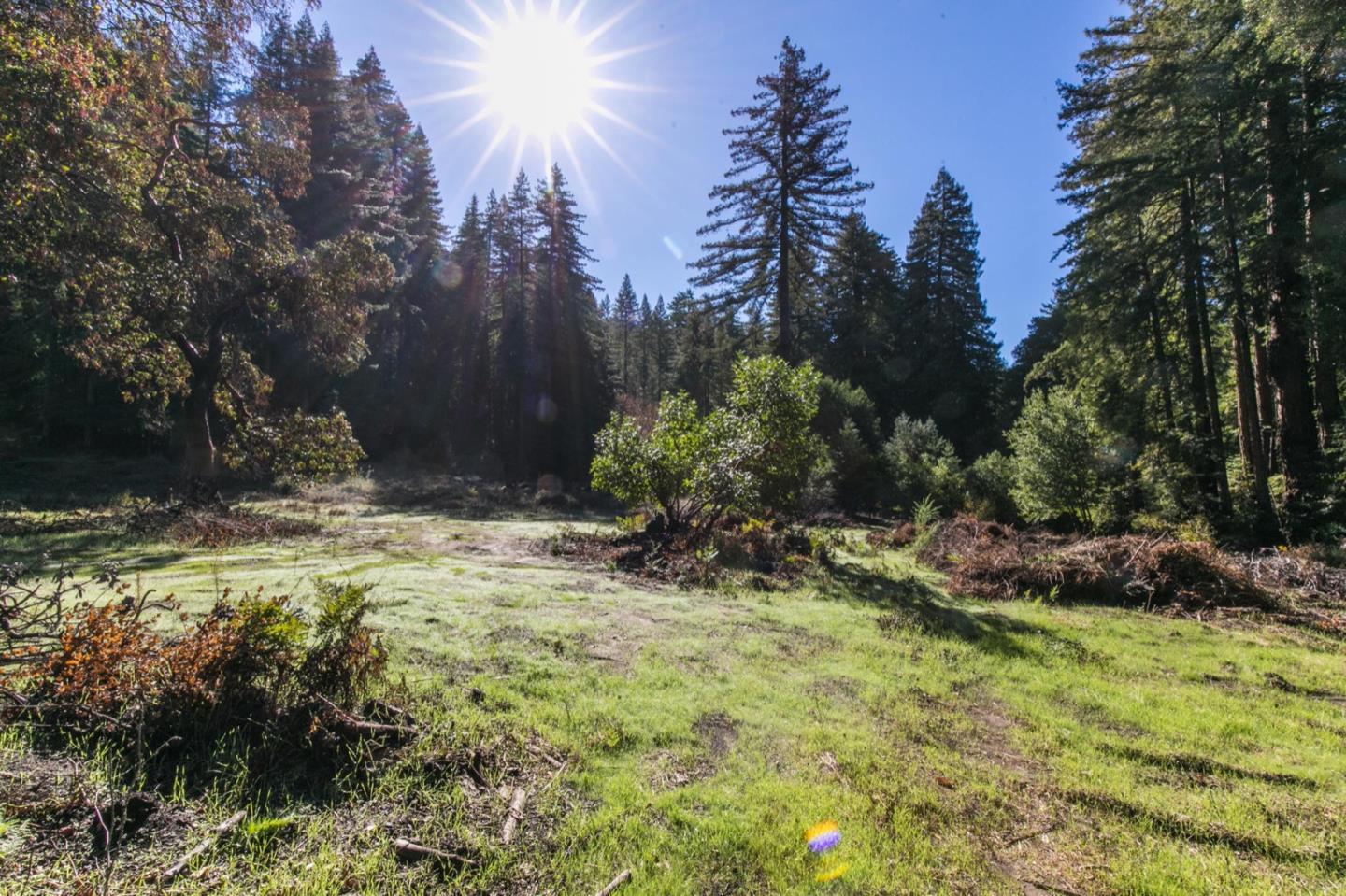 00 Brier, BOULDER CREEK, California 95006, ,Lots And Land,For Sale,Brier,40974108
