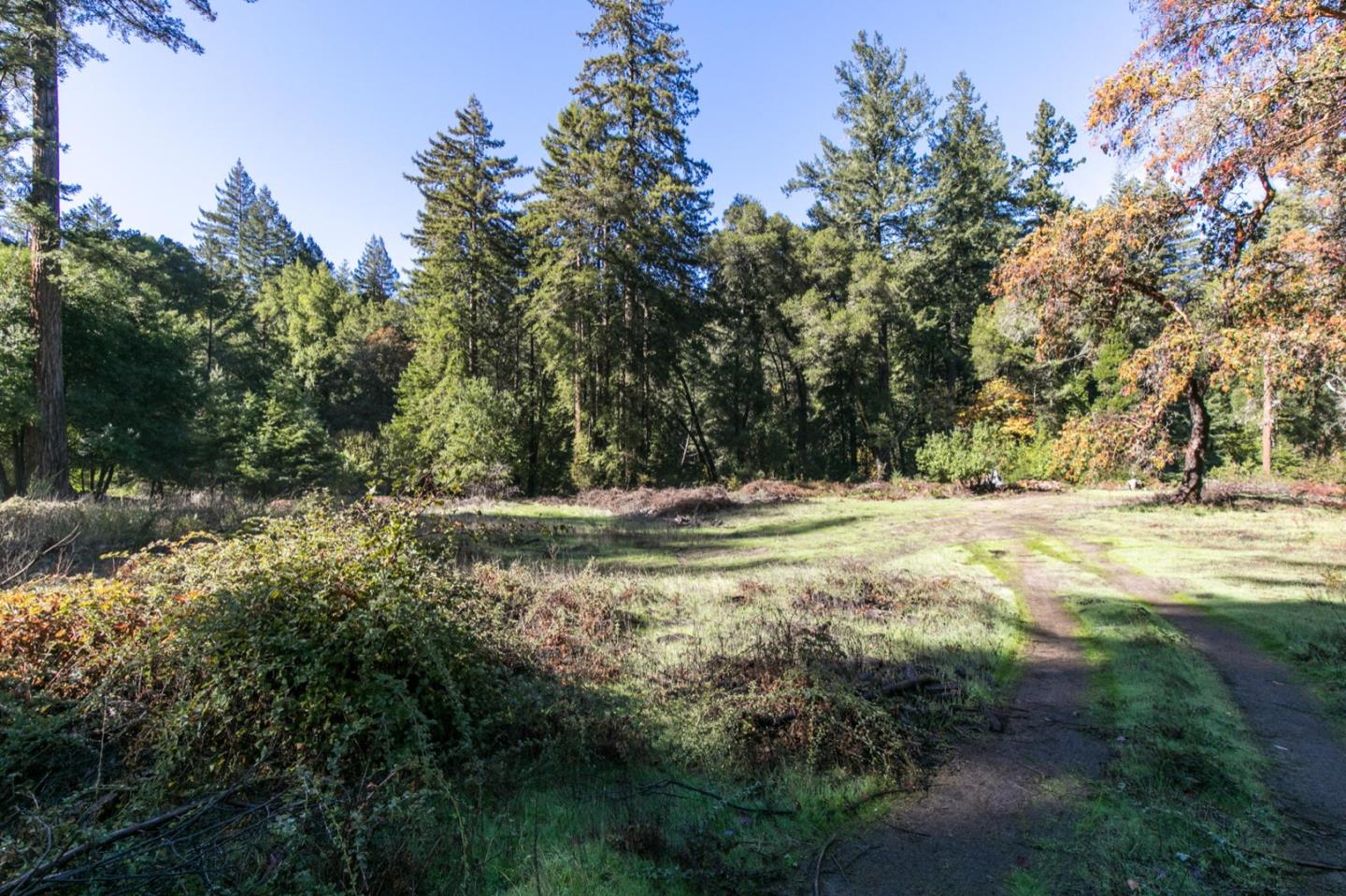 00 Brier, BOULDER CREEK, California 95006, ,Lots And Land,For Sale,Brier,40974108