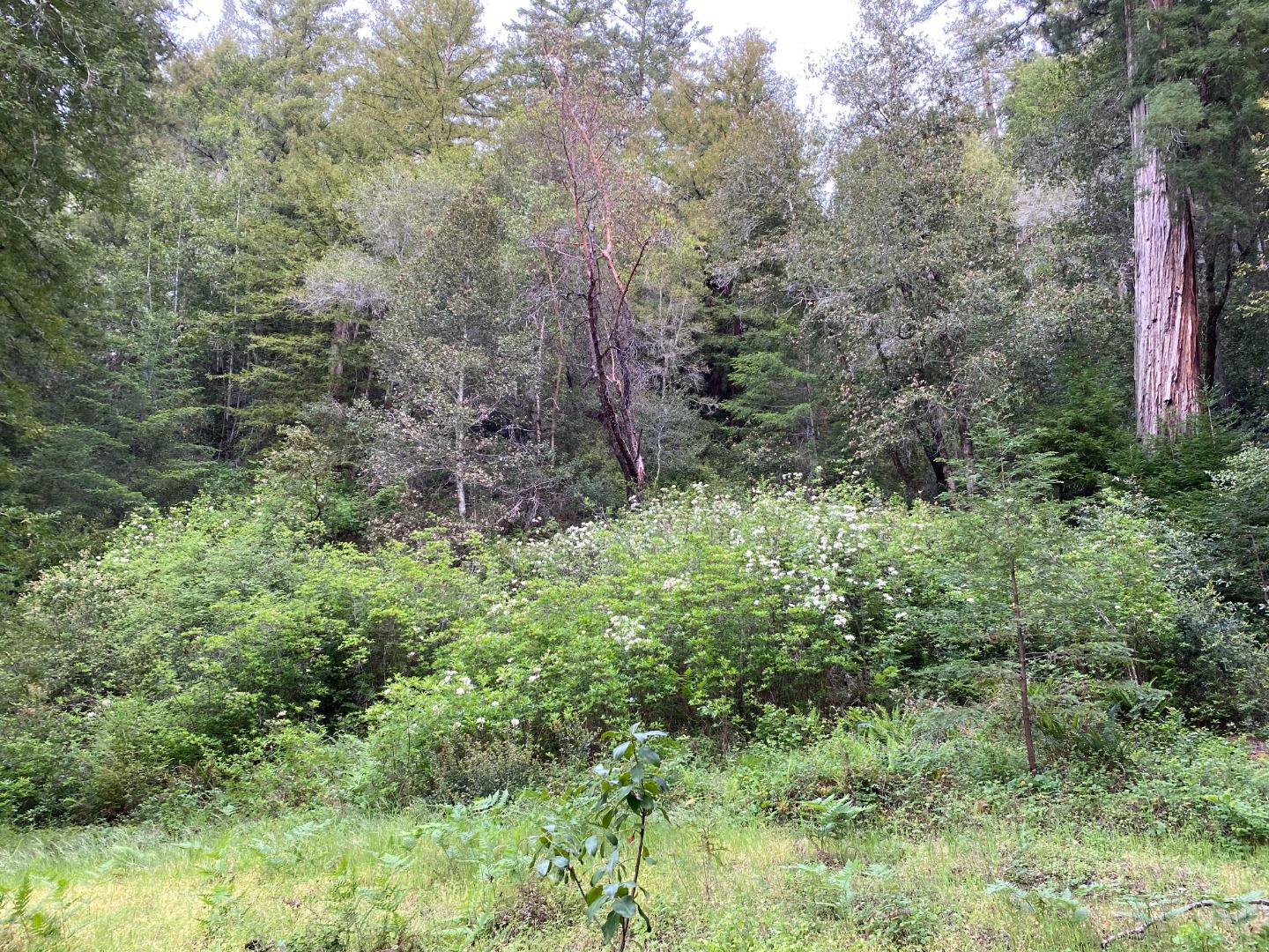 00 Brier, BOULDER CREEK, California 95006, ,Lots And Land,For Sale,Brier,40974108