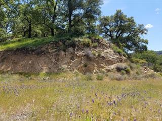 0 0 Tassajara (Parcel F), CARMEL VALLEY, California 93924, ,Lots And Land,For Sale,0 Tassajara (Parcel F),40974117