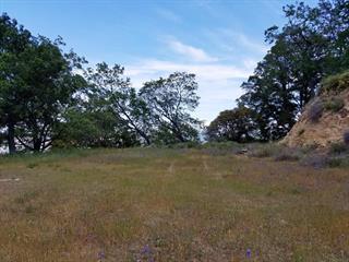 0 0 Tassajara (Parcel F), CARMEL VALLEY, California 93924, ,Lots And Land,For Sale,0 Tassajara (Parcel F),40974117