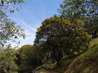 0 Tassajara (Parcel K), CARMEL VALLEY, California 93924, ,Lots And Land,For Sale,Tassajara (Parcel K),40974118