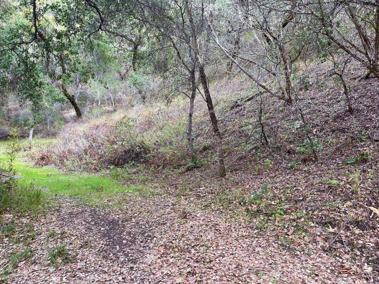 0 Hitchcock Canyon, CARMEL VALLEY, California 93924, ,Lots And Land,For Sale,Hitchcock Canyon,40974127