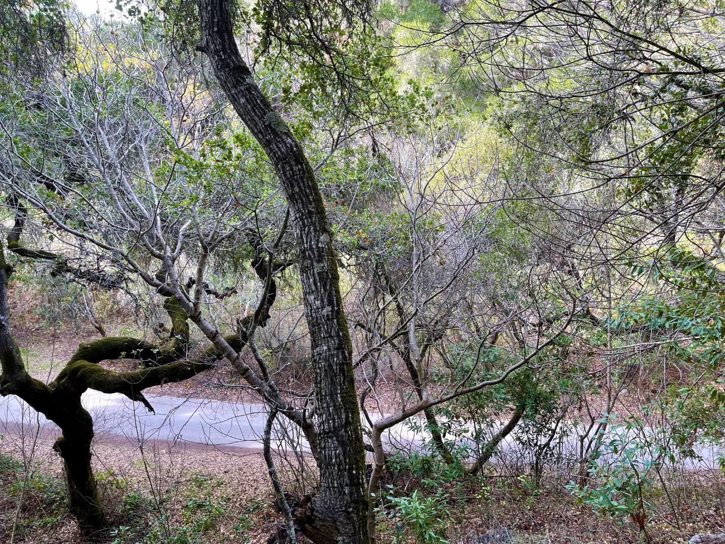 0 Hitchcock Canyon, CARMEL VALLEY, California 93924, ,Lots And Land,For Sale,Hitchcock Canyon,40974127