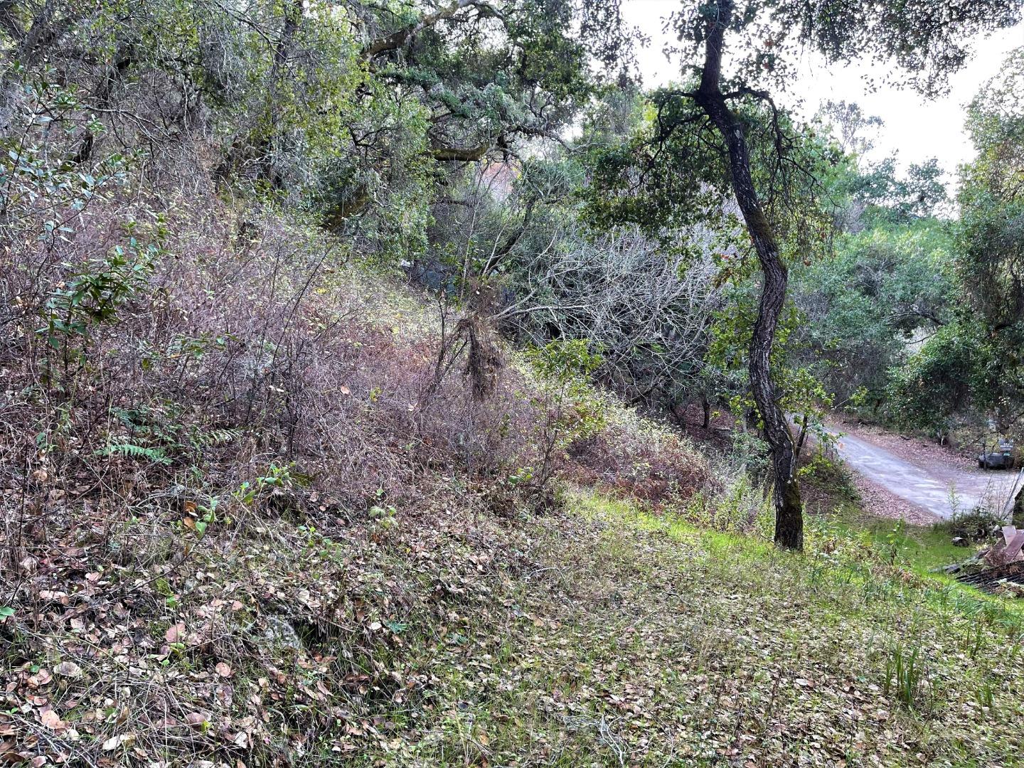 0 Hitchcock Canyon, CARMEL VALLEY, California 93924, ,Lots And Land,For Sale,Hitchcock Canyon,40974127