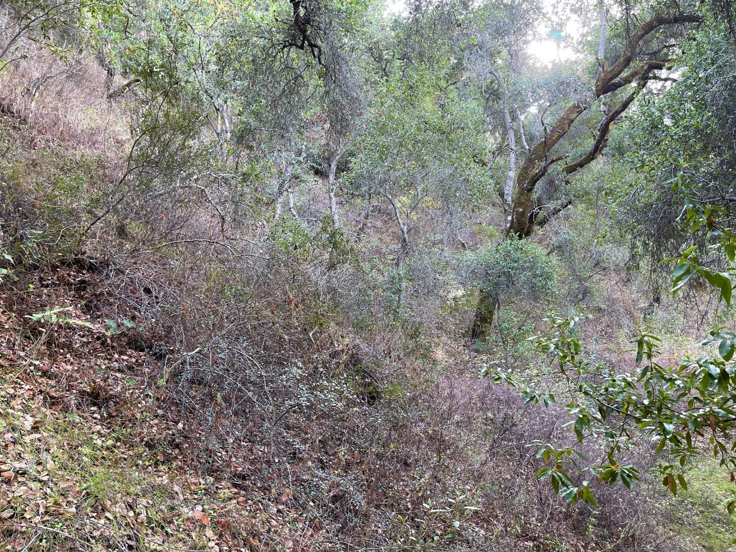 0 Hitchcock Canyon, CARMEL VALLEY, California 93924, ,Lots And Land,For Sale,Hitchcock Canyon,40974127