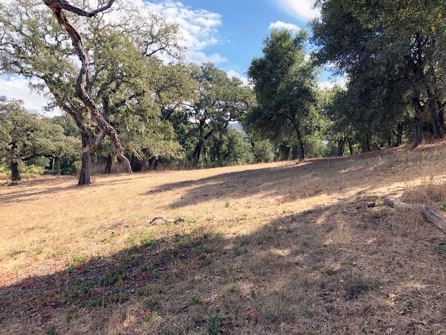 34221 Robinson Canyon Road, CARMEL VALLEY, California 93923, ,Lots And Land,For Sale,Robinson Canyon Road,40974129