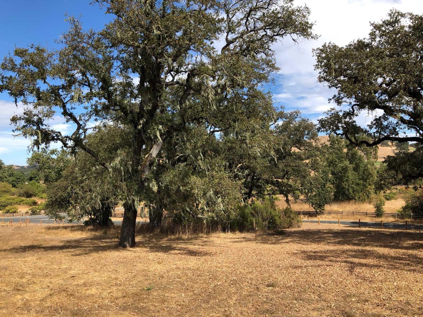 34221 Robinson Canyon Road, CARMEL VALLEY, California 93923, ,Lots And Land,For Sale,Robinson Canyon Road,40974129