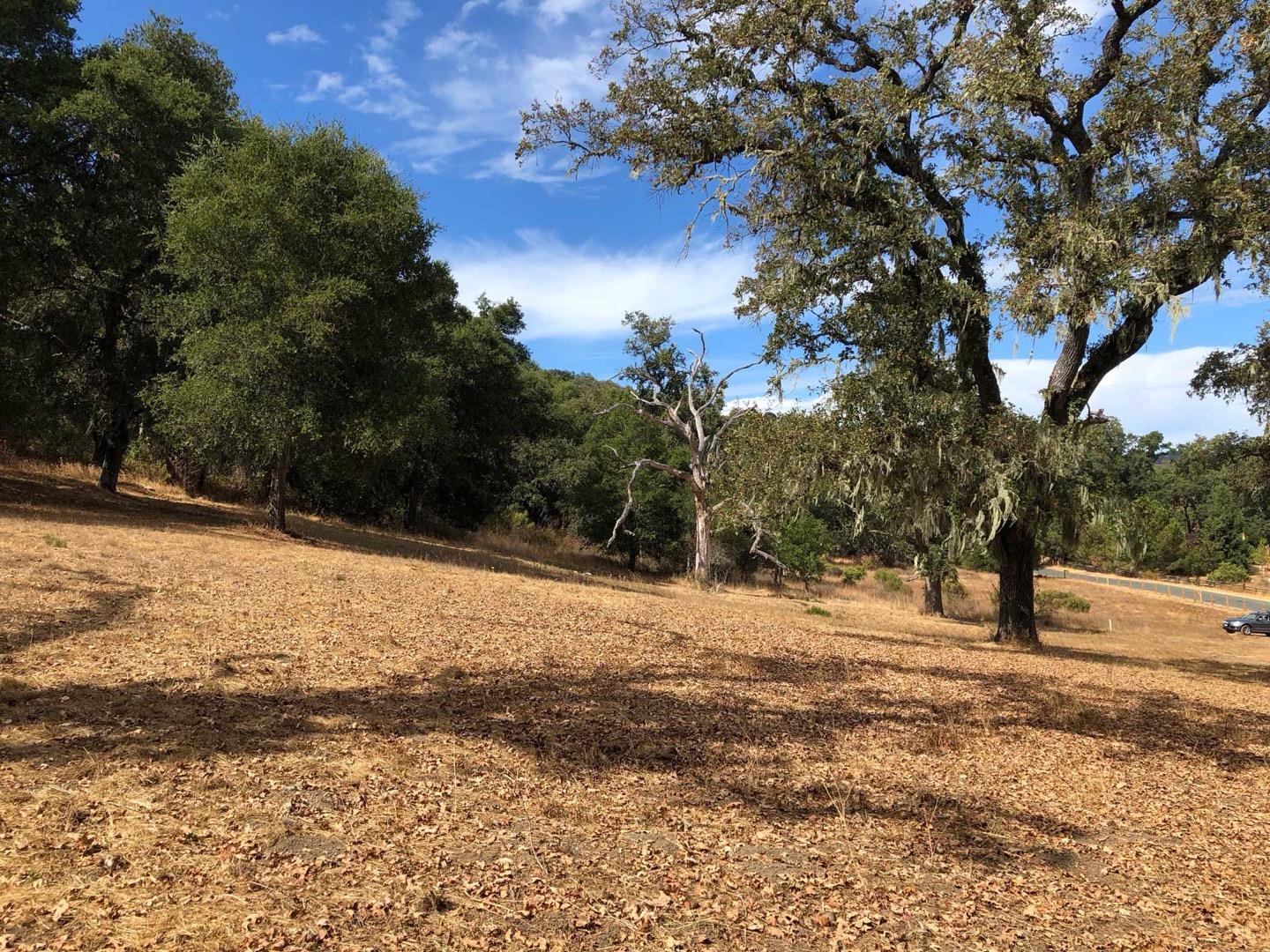 34221 Robinson Canyon Road, CARMEL VALLEY, California 93923, ,Lots And Land,For Sale,Robinson Canyon Road,40974129