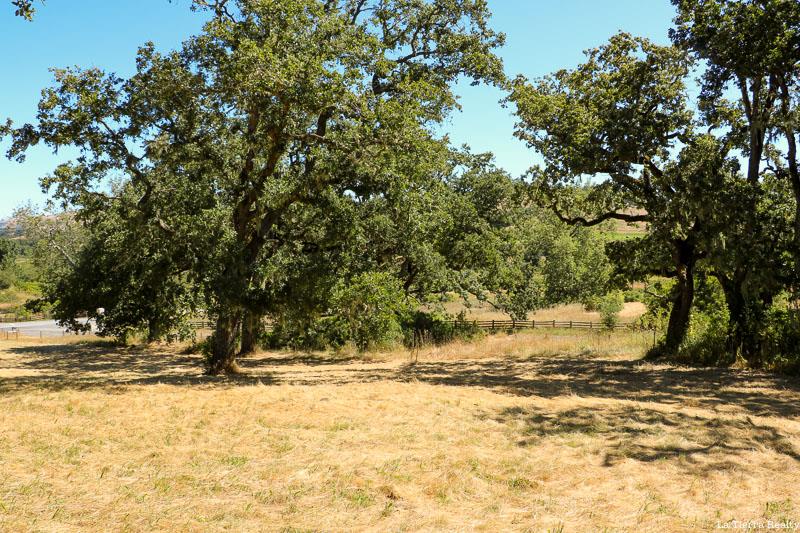 34221 Robinson Canyon Road, CARMEL VALLEY, California 93923, ,Lots And Land,For Sale,Robinson Canyon Road,40974129