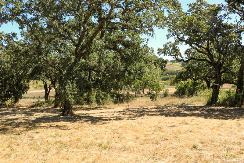 34221 Robinson Canyon Road, CARMEL VALLEY, California 93923, ,Lots And Land,For Sale,Robinson Canyon Road,40974129