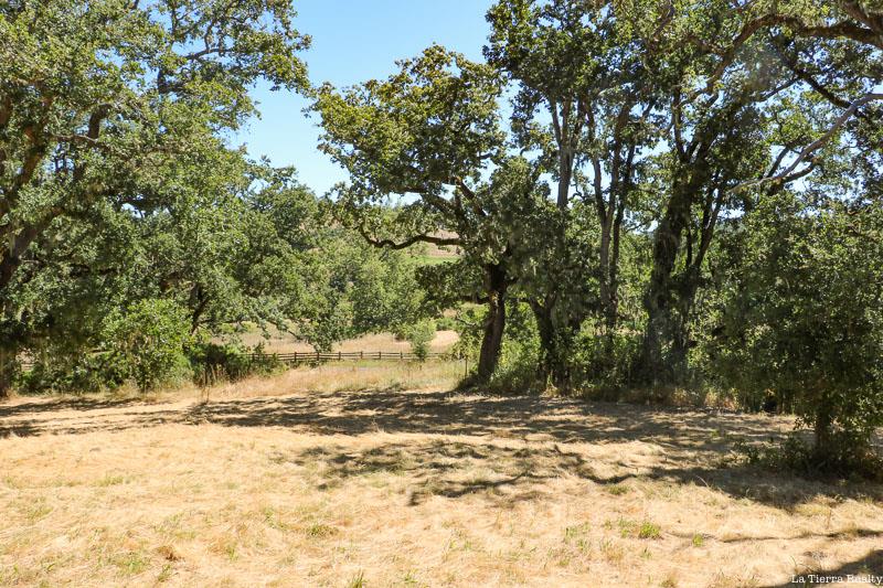 34221 Robinson Canyon Road, CARMEL VALLEY, California 93923, ,Lots And Land,For Sale,Robinson Canyon Road,40974129
