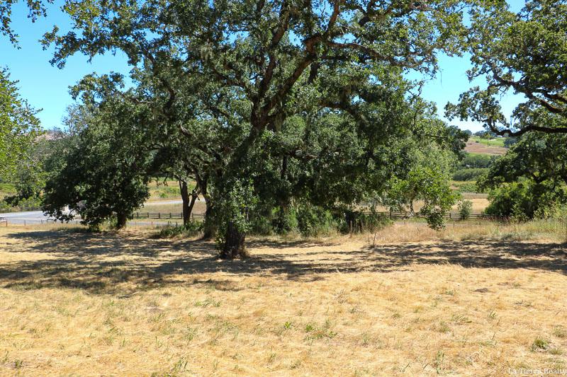 34221 Robinson Canyon Road, CARMEL VALLEY, California 93923, ,Lots And Land,For Sale,Robinson Canyon Road,40974129