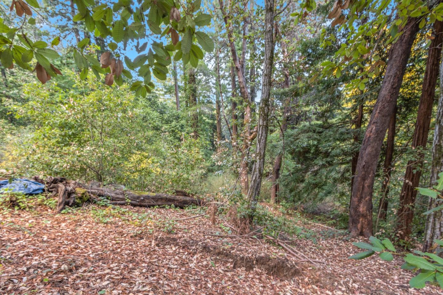 11980 Monan Way, BOULDER CREEK, California 95006, ,Lots And Land,For Sale,Monan Way,40974554