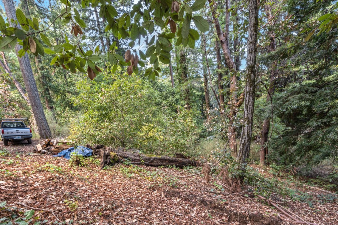 11980 Monan Way, BOULDER CREEK, California 95006, ,Lots And Land,For Sale,Monan Way,40974554
