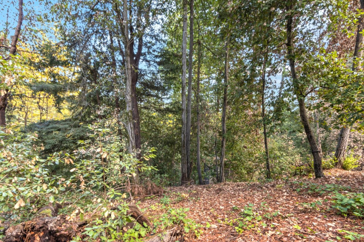 11980 Monan Way, BOULDER CREEK, California 95006, ,Lots And Land,For Sale,Monan Way,40974554