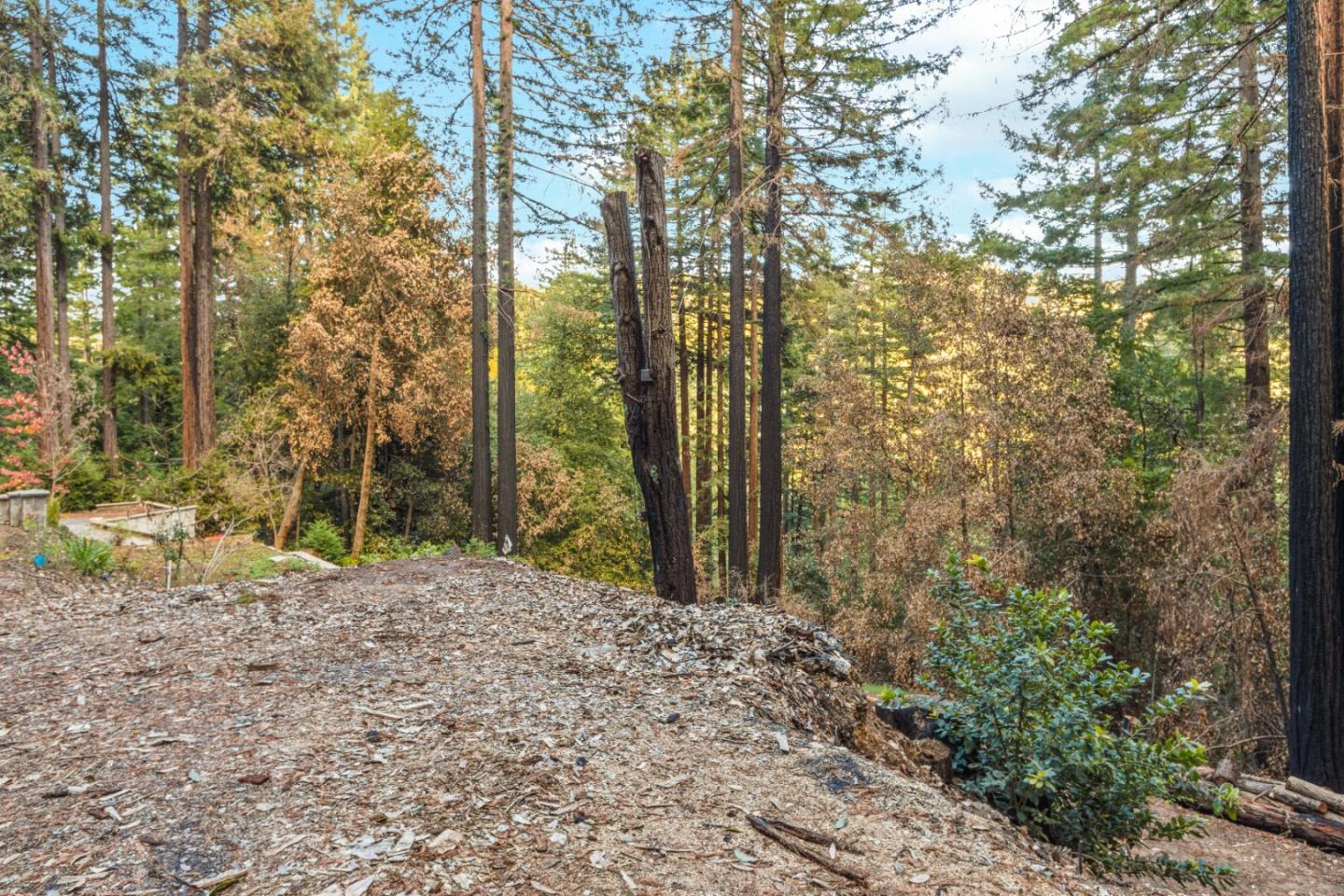 11980 Monan Way, BOULDER CREEK, California 95006, ,Lots And Land,For Sale,Monan Way,40974554