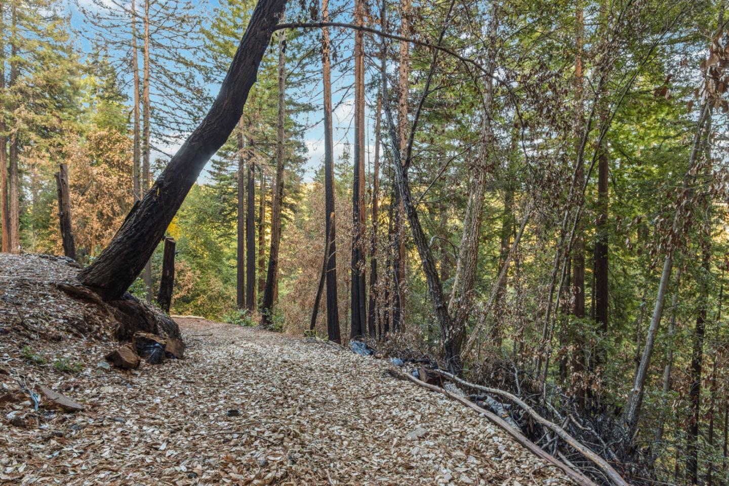 11980 Monan Way, BOULDER CREEK, California 95006, ,Lots And Land,For Sale,Monan Way,40974554