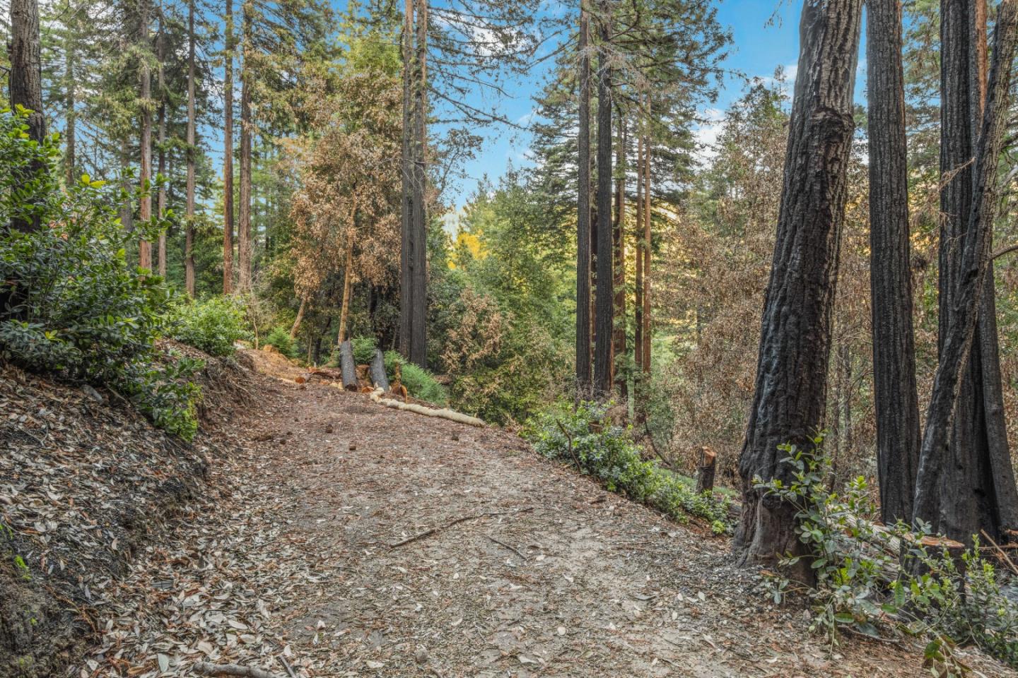 11980 Monan Way, BOULDER CREEK, California 95006, ,Lots And Land,For Sale,Monan Way,40974554