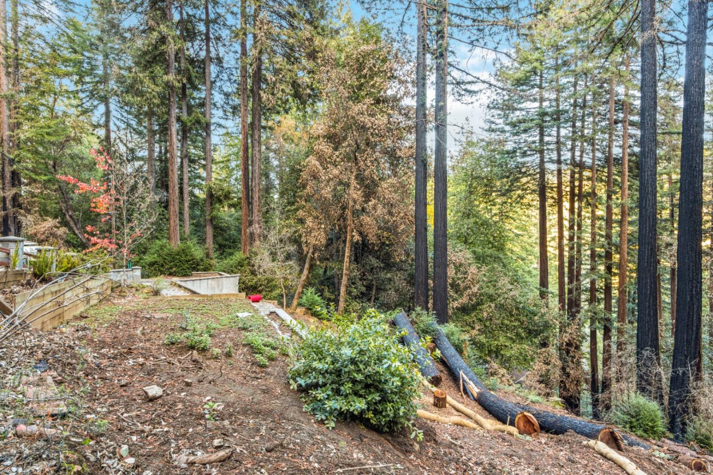11980 Monan Way, BOULDER CREEK, California 95006, ,Lots And Land,For Sale,Monan Way,40974554