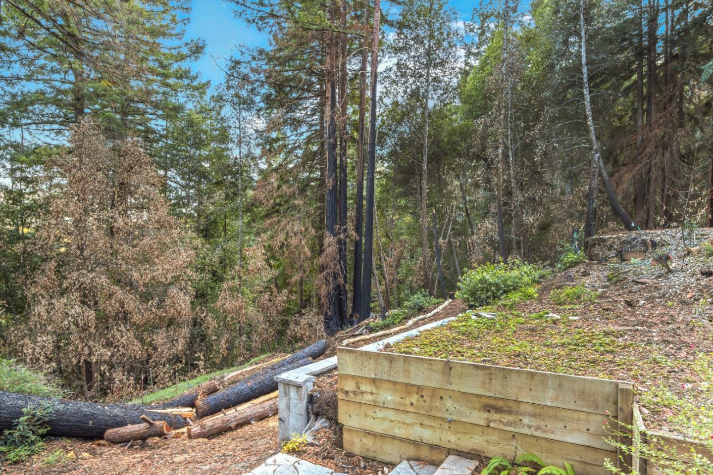 11980 Monan Way, BOULDER CREEK, California 95006, ,Lots And Land,For Sale,Monan Way,40974554